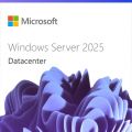 Microsoft Windows Server 2025 Datacenter - 24 Noyaux / 24 Cœurs