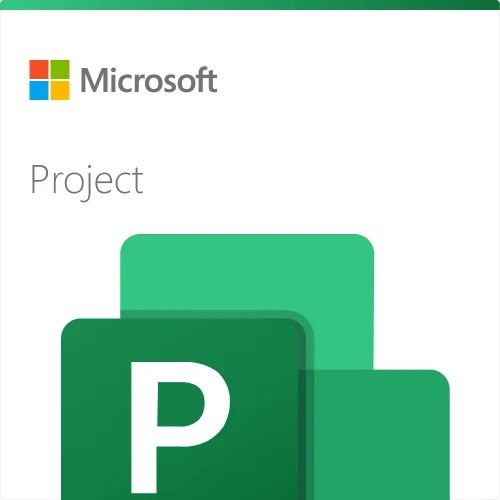 Microsoft Project Professionnel 2024