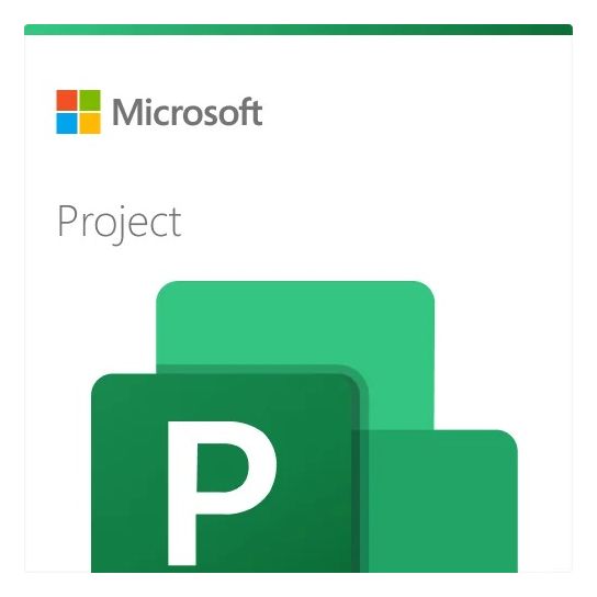 Microsoft Project Professionnel 2024